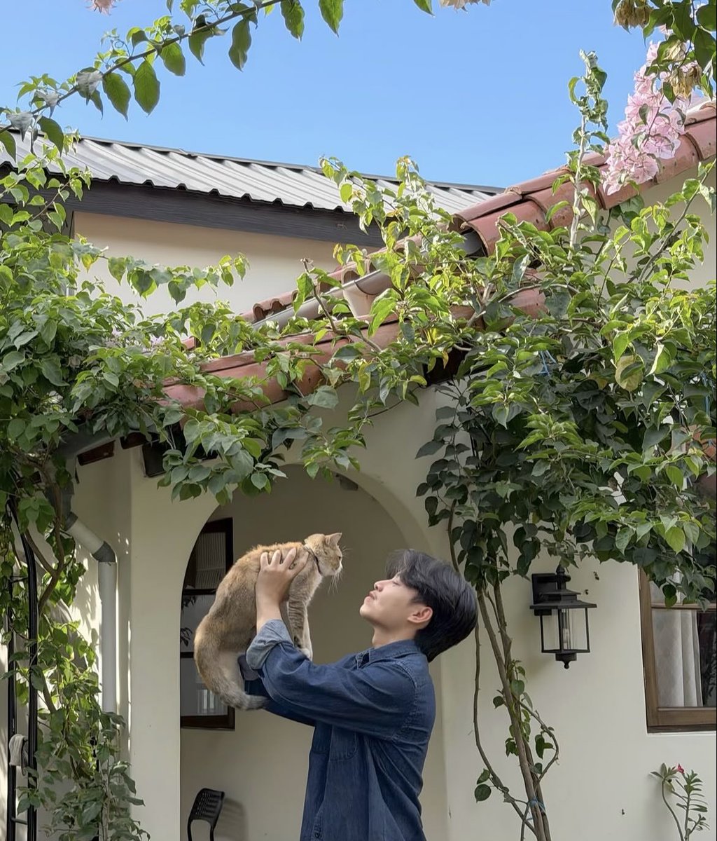 Alexandre tweet media