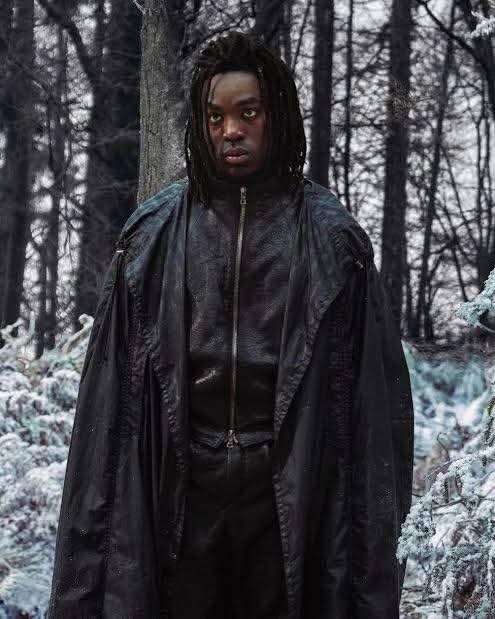 ɴᴀᴄɪᴏ́ɴ ᴍᴇᴍᴇs ᴅᴇ ʟᴀ ɴғʟ tweet media