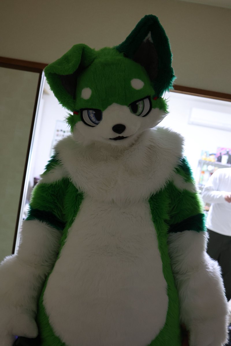 グルンくん🟢 tweet media