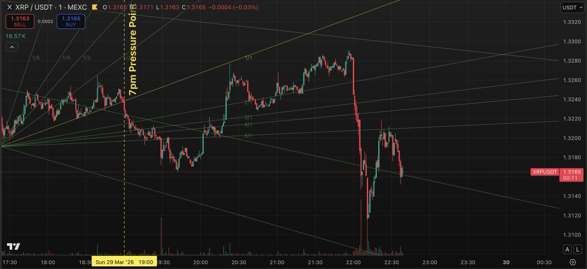 PyraTime tweet media
