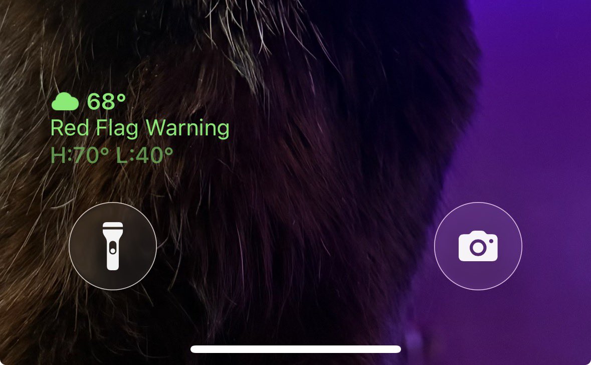 Ash 👽✨ tweet media