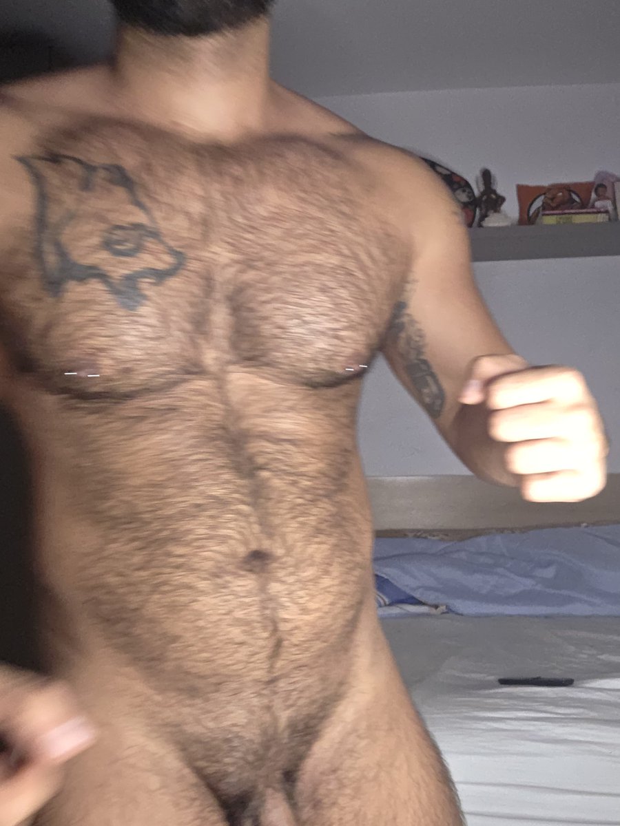 Project Bear 🐻🔥 tweet media