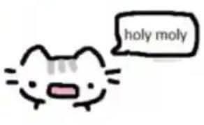 𝕬𝖛𝖊 𝕮𝖍𝖗𝖎𝖘𝖙𝖚𝖘 𝕽𝖊𝖝 🙏✝️ tweet media