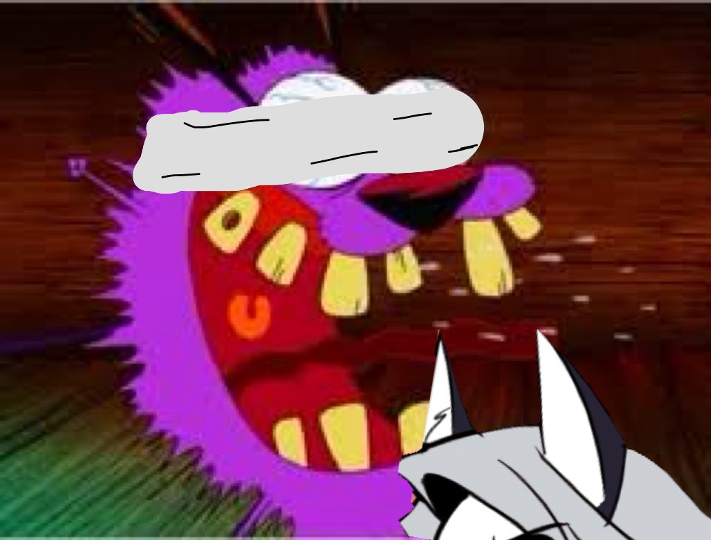 Freedom Entertainment tweet media