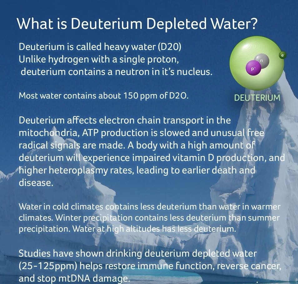 ☣️ Pleb Kruse = BTC foundationalist in exile 🟩🔆 tweet media