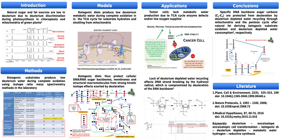 ☣️ Pleb Kruse = BTC foundationalist in exile 🟩🔆 tweet media