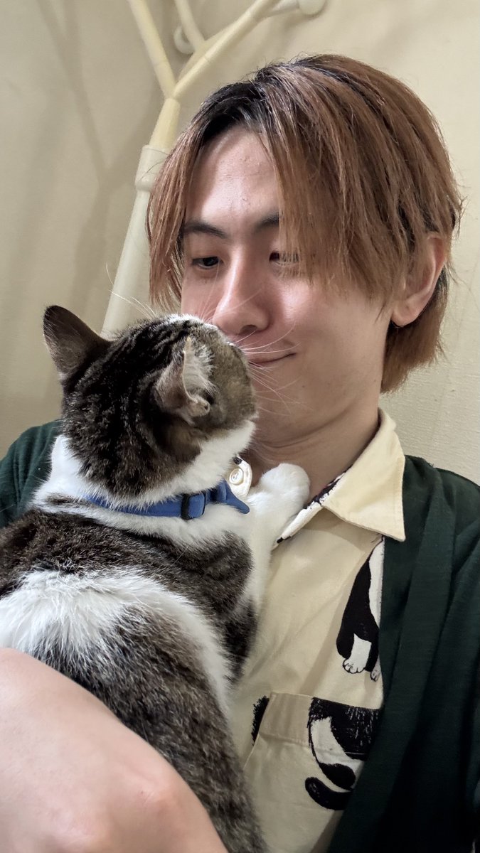 『クスッと動画』けろCHAN【Satoshi Onishi】 tweet media