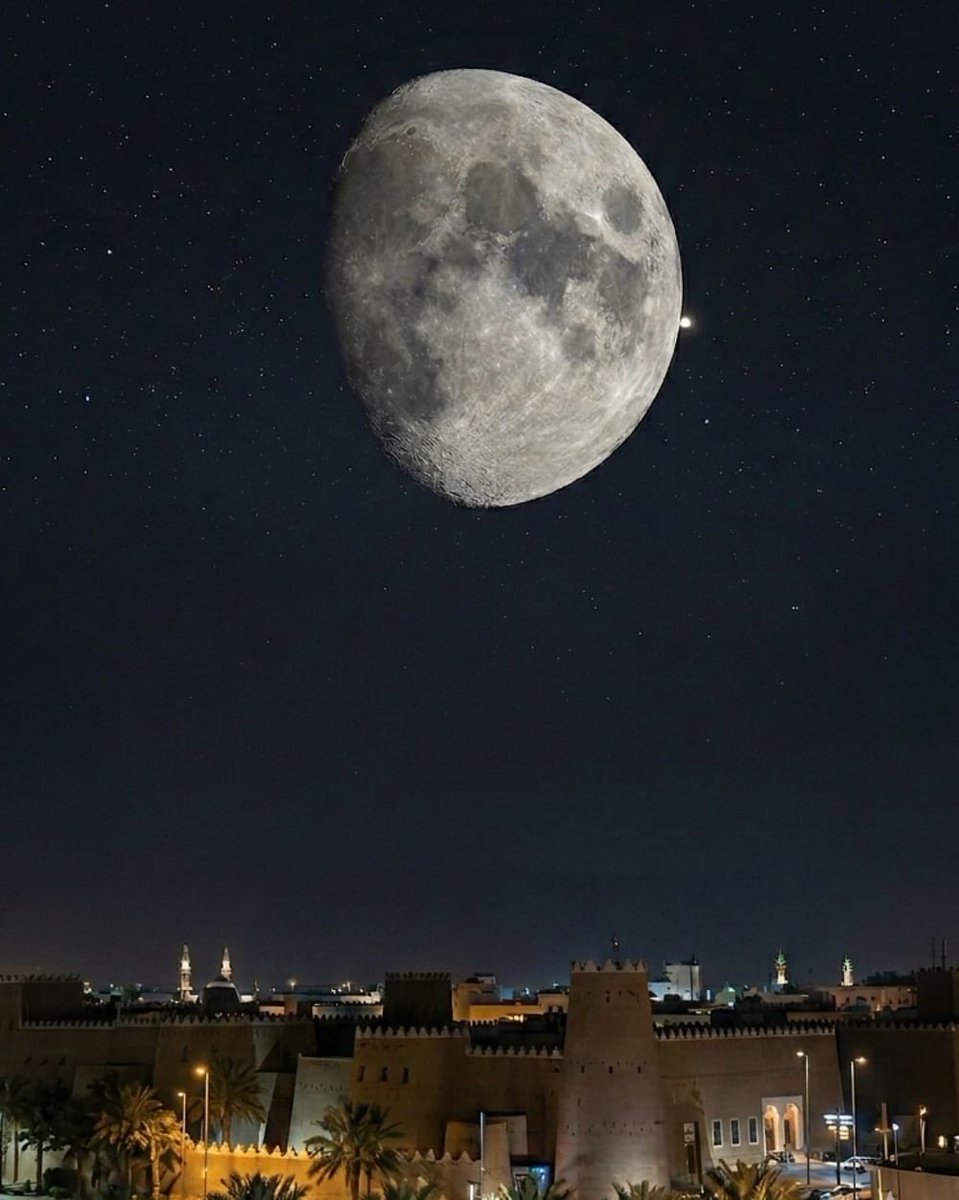 وليد الحميد tweet media