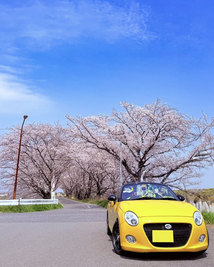 ぺこん🐤 tweet media