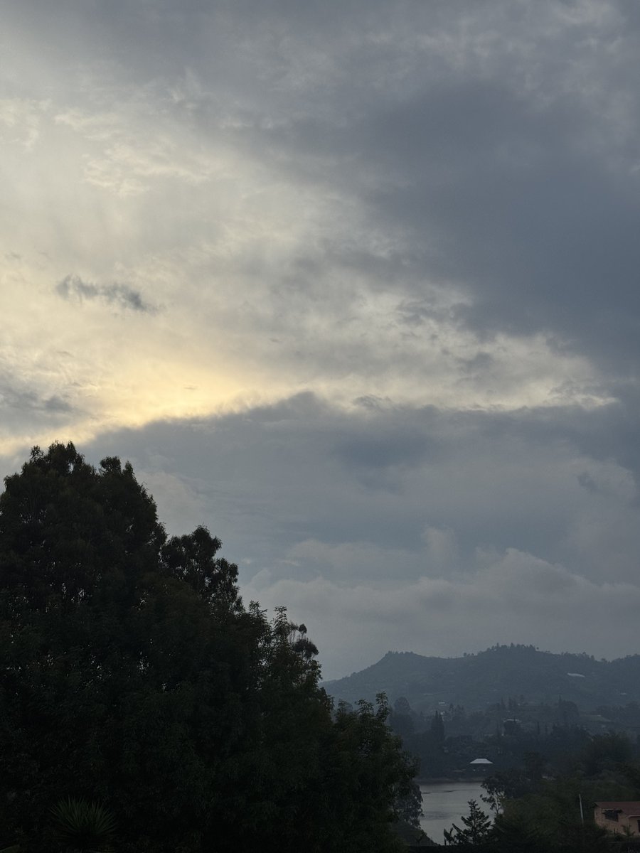 Pacho M. tweet media