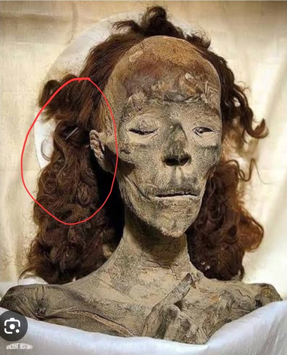 N Beta 🇪🇬⚛️(كيمياء) tweet media