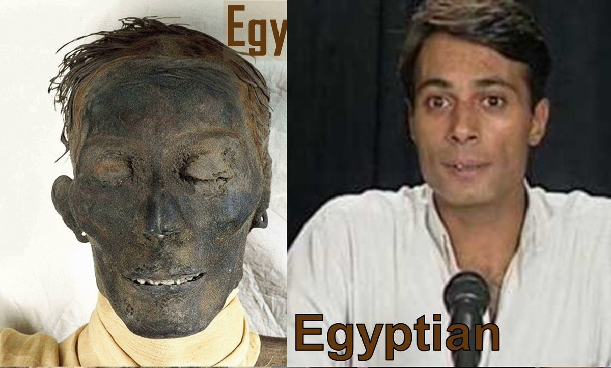 N Beta 🇪🇬⚛️(كيمياء) tweet media