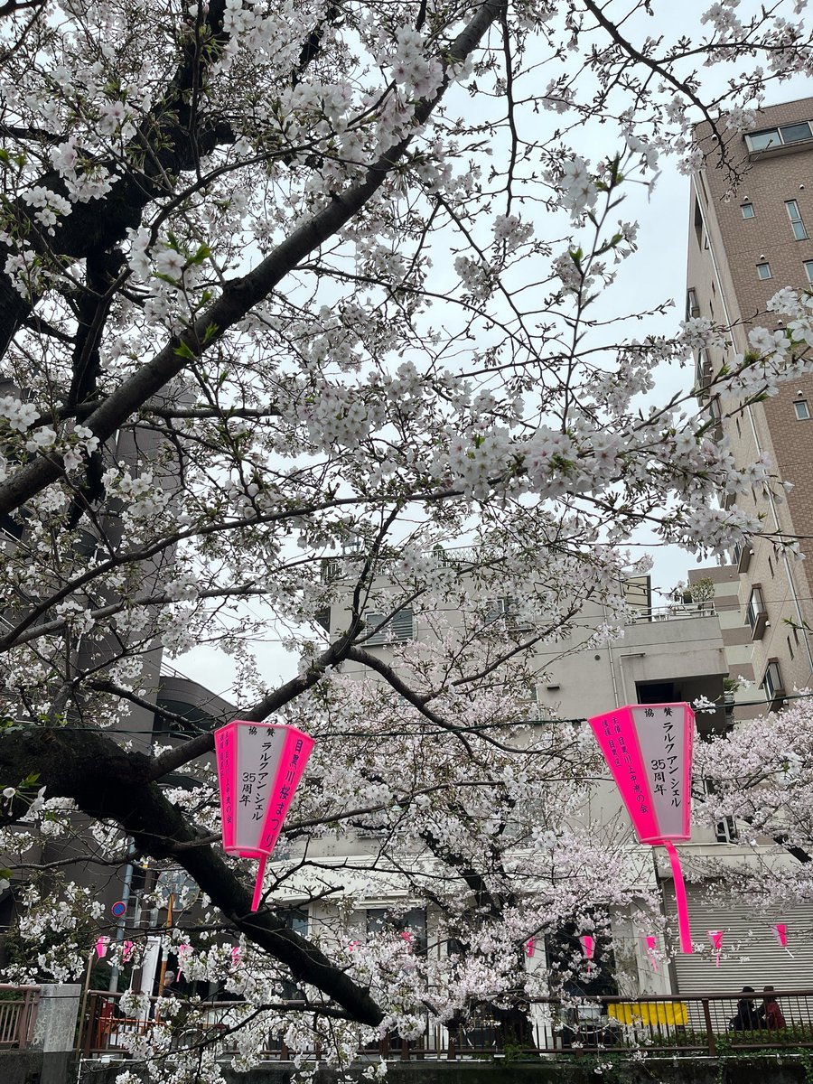 Mikarc0129's tweet photo. 見つけたーっ🌸

#ラルク
#LArcenCiel
#ラルクアンシエル35周年 https://t.co/Je72MQ5MiY