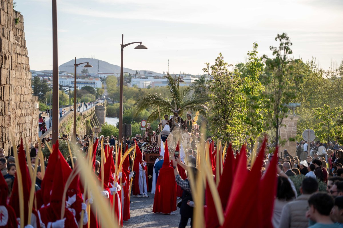 Ayuntamiento de Mérida tweet media