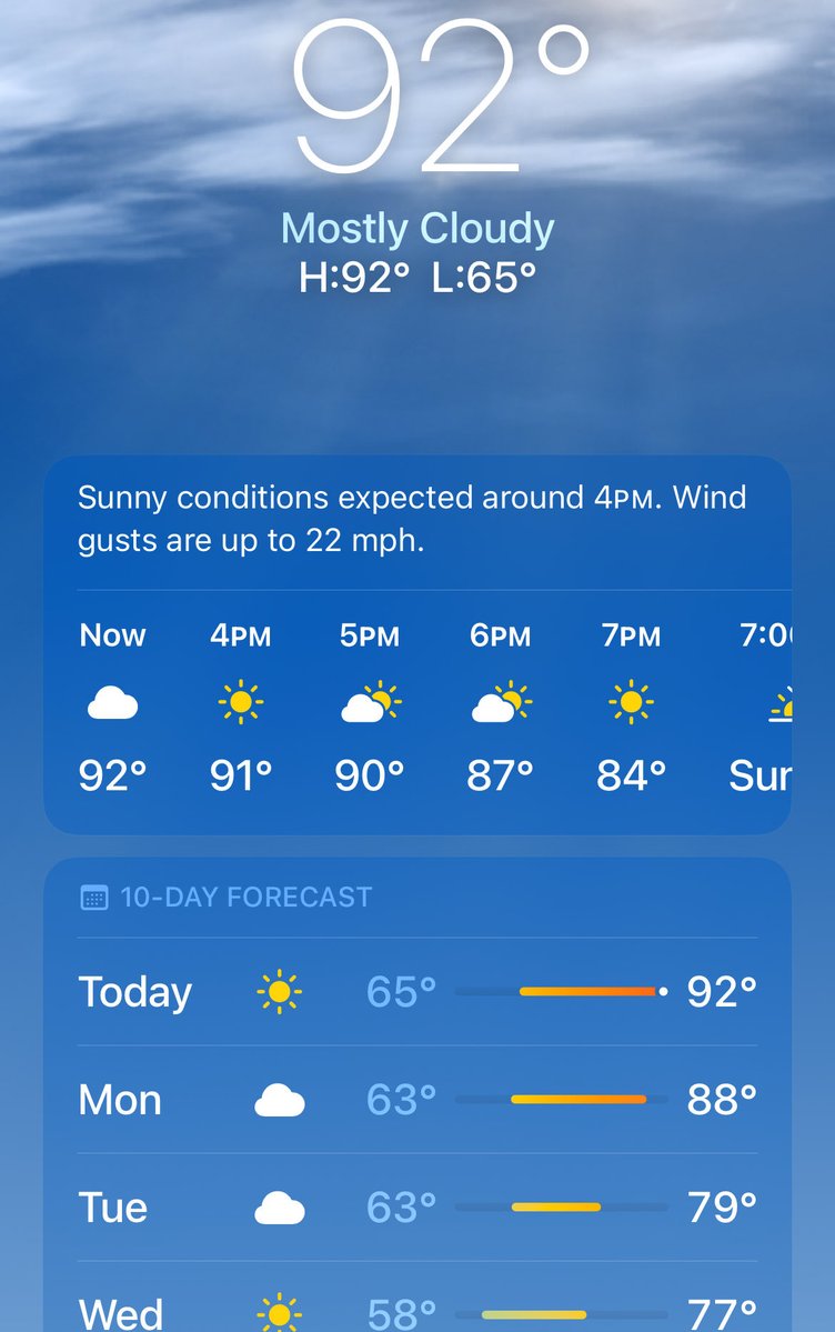 🏴☠️ Shelly Martinez🦇 tweet media