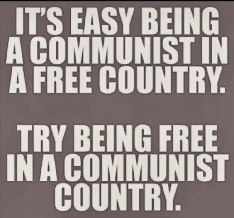 Elena 🇺🇸 tweet media