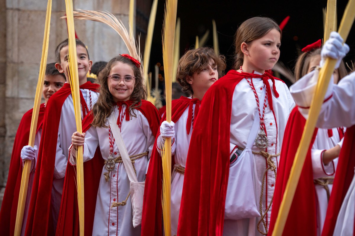 Ayuntamiento de Mérida tweet media
