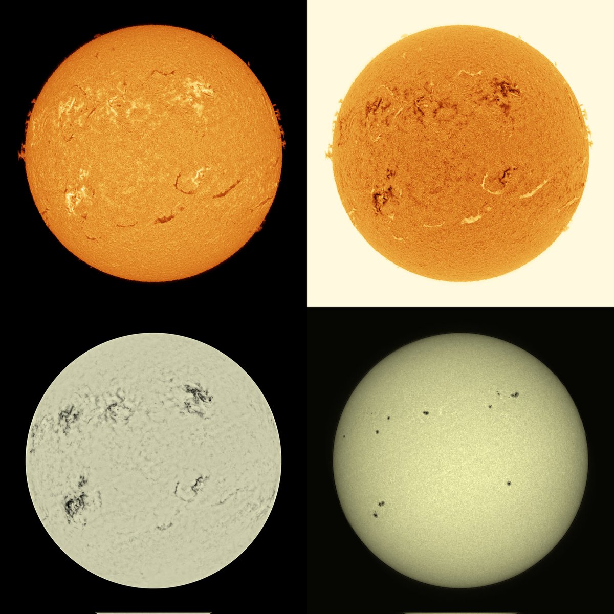 Mario 🪐🌒🌞🌌🔭🐸 tweet media