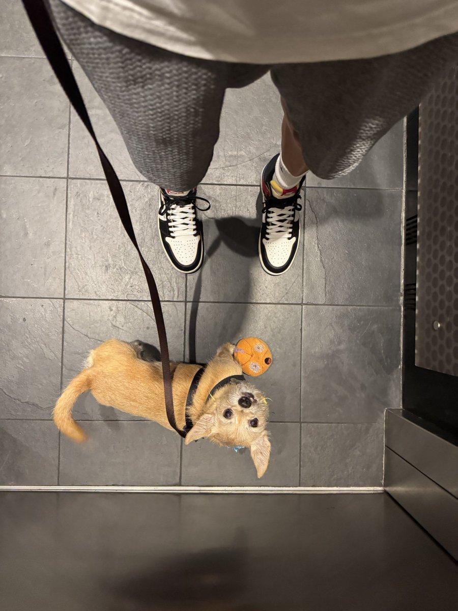 Coach Hop tweet media