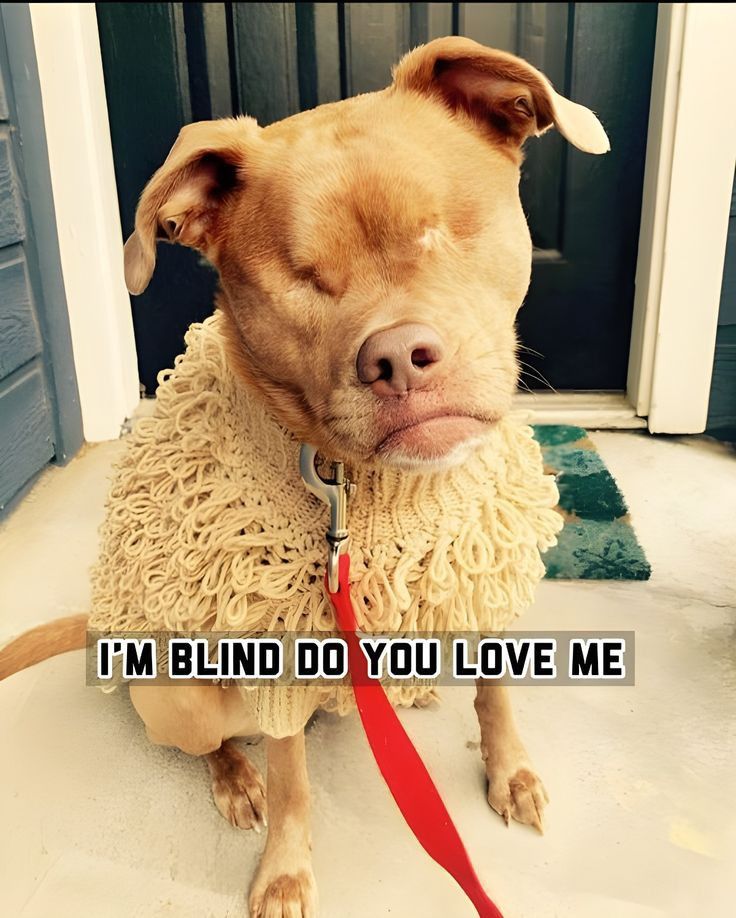 Beyond_theleash's tweet photo. https://t.co/EyYPjg2qle