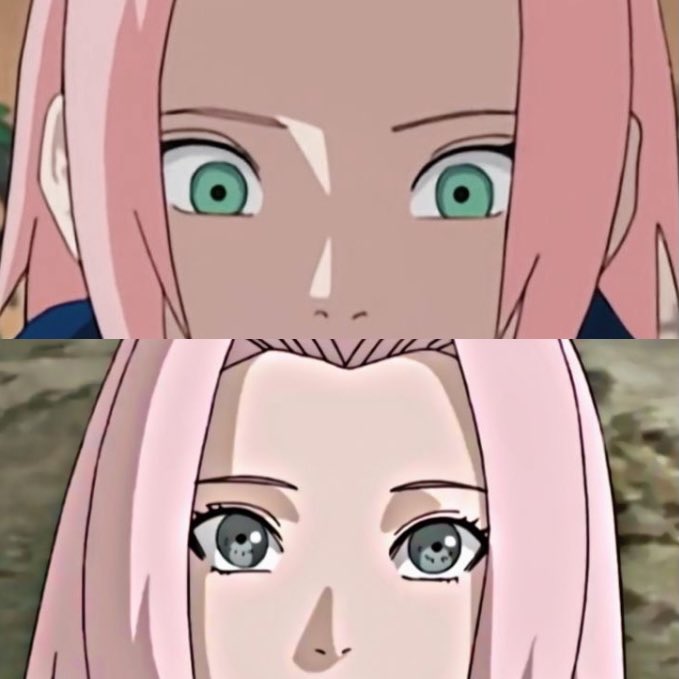 karasu 🐺𖣂𖠰 tweet media