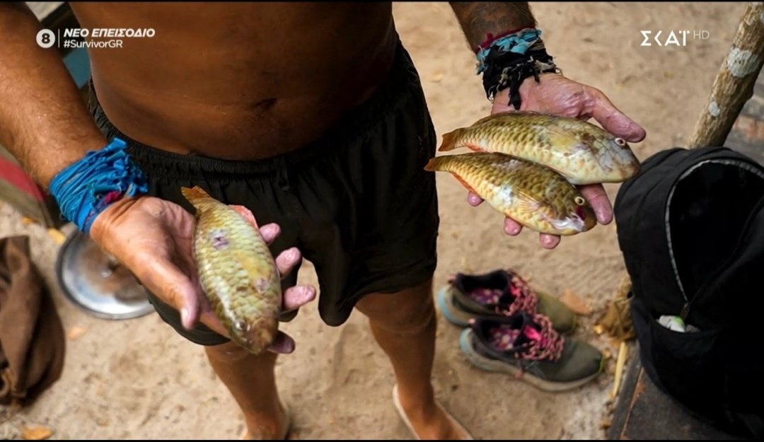 Cav🅰️lariS🎸☮️ tweet media