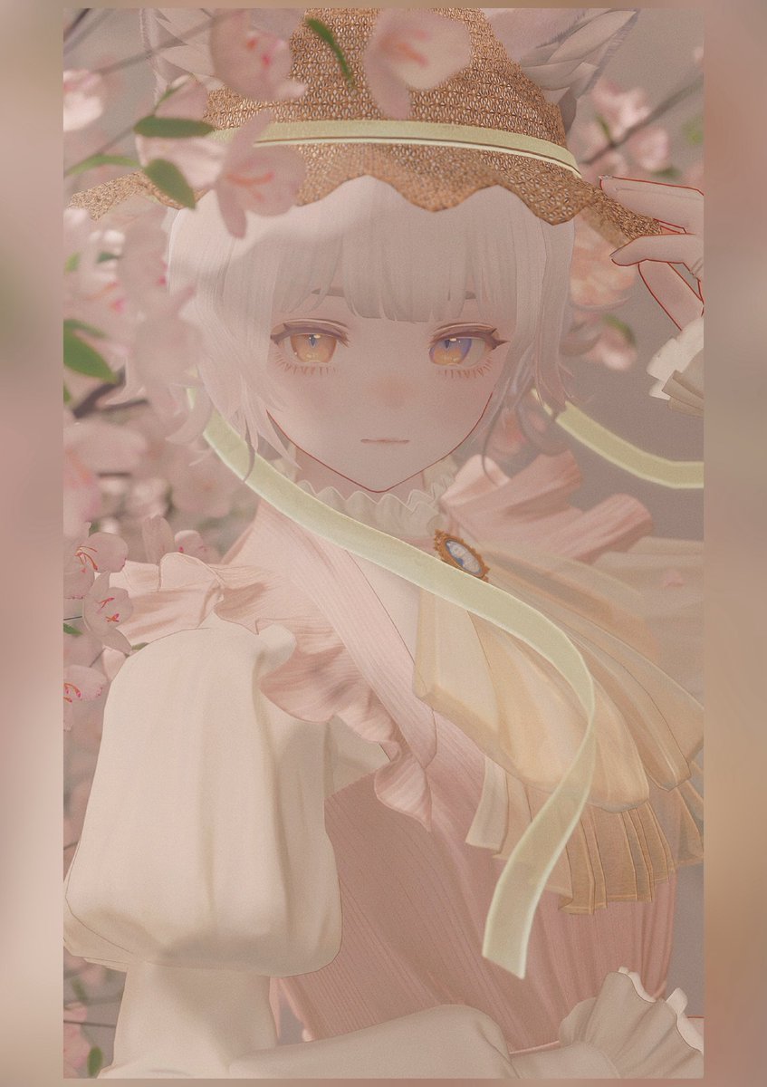 akanchan▼ tweet media