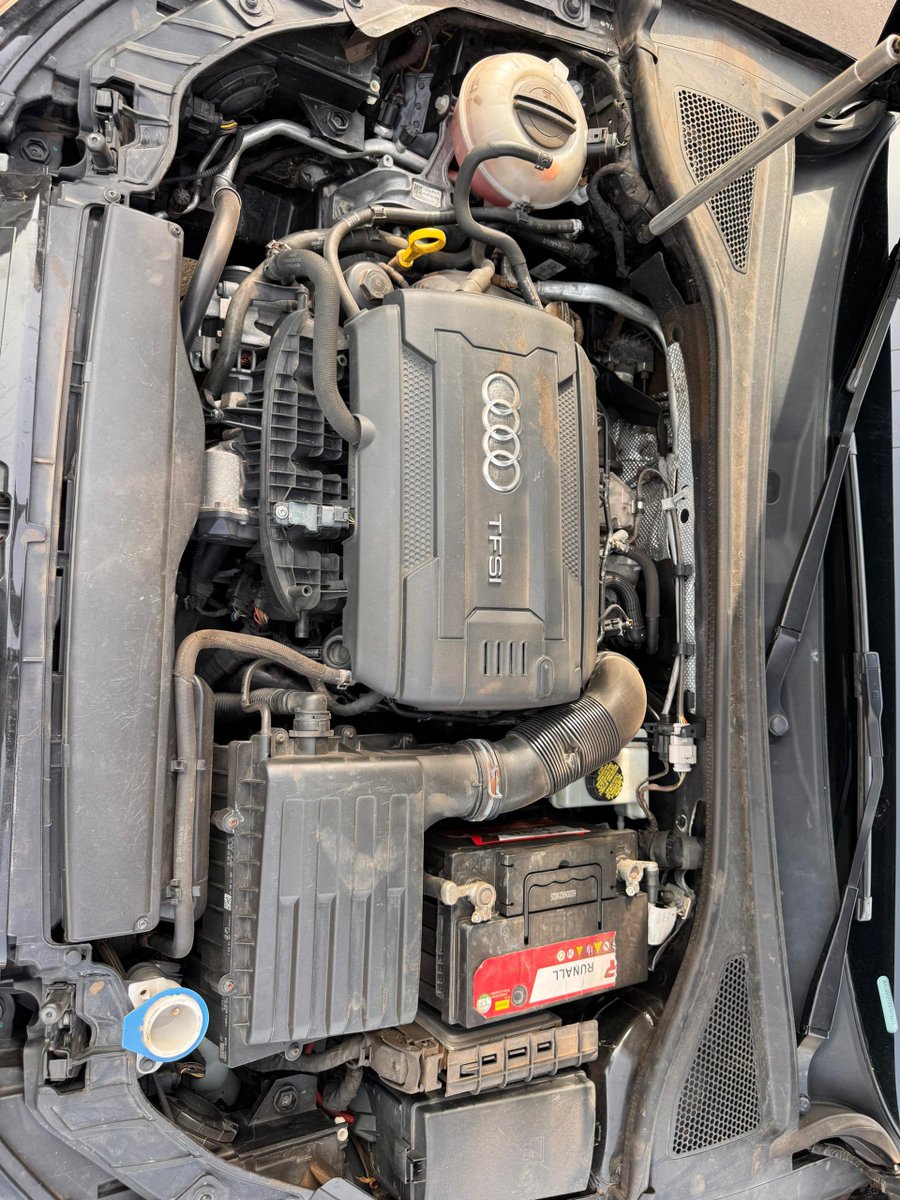 Gucho Choco Vichis tweet media