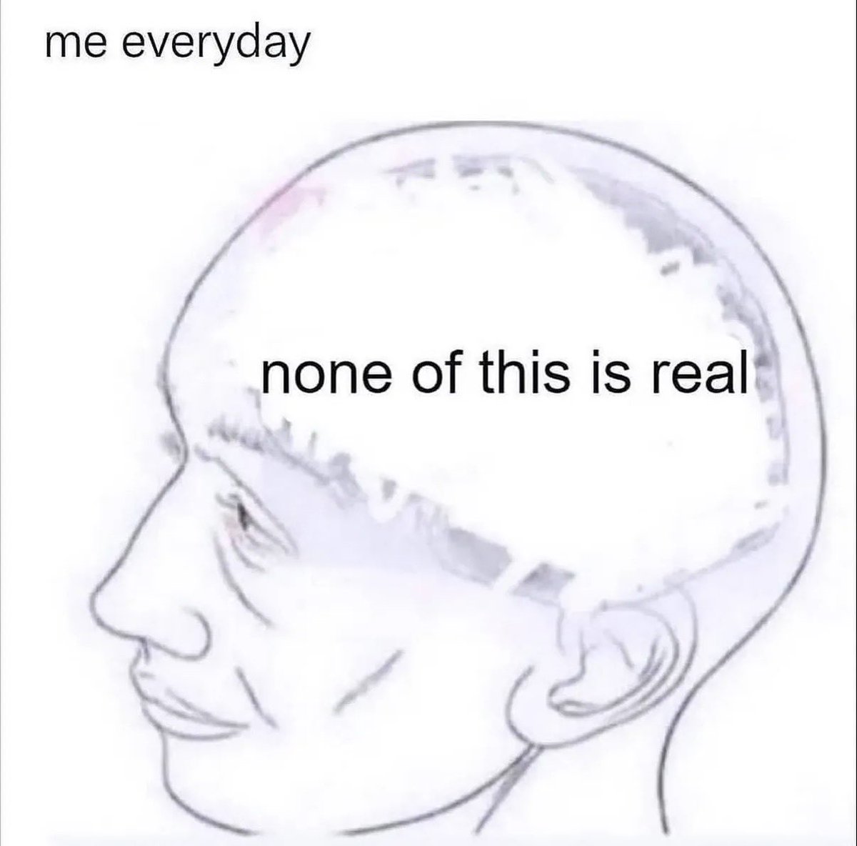 oak-feather tweet media