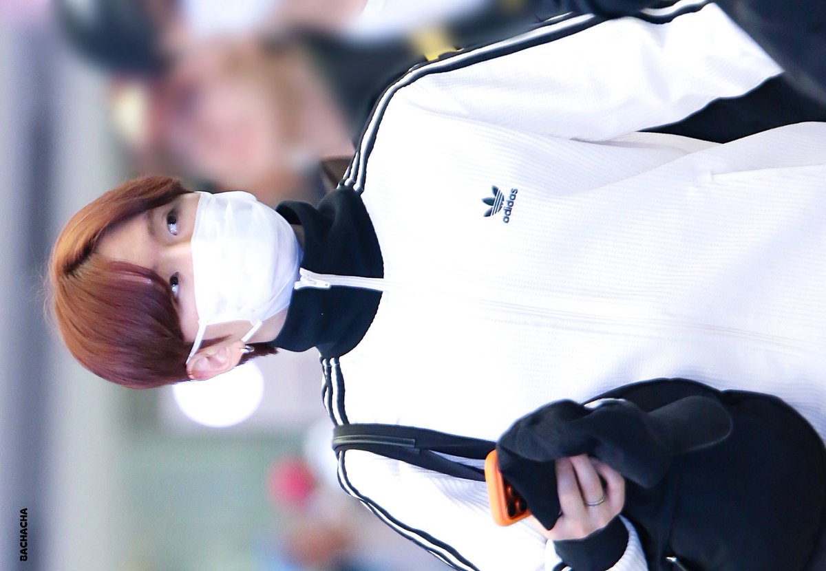 바차차 tweet media