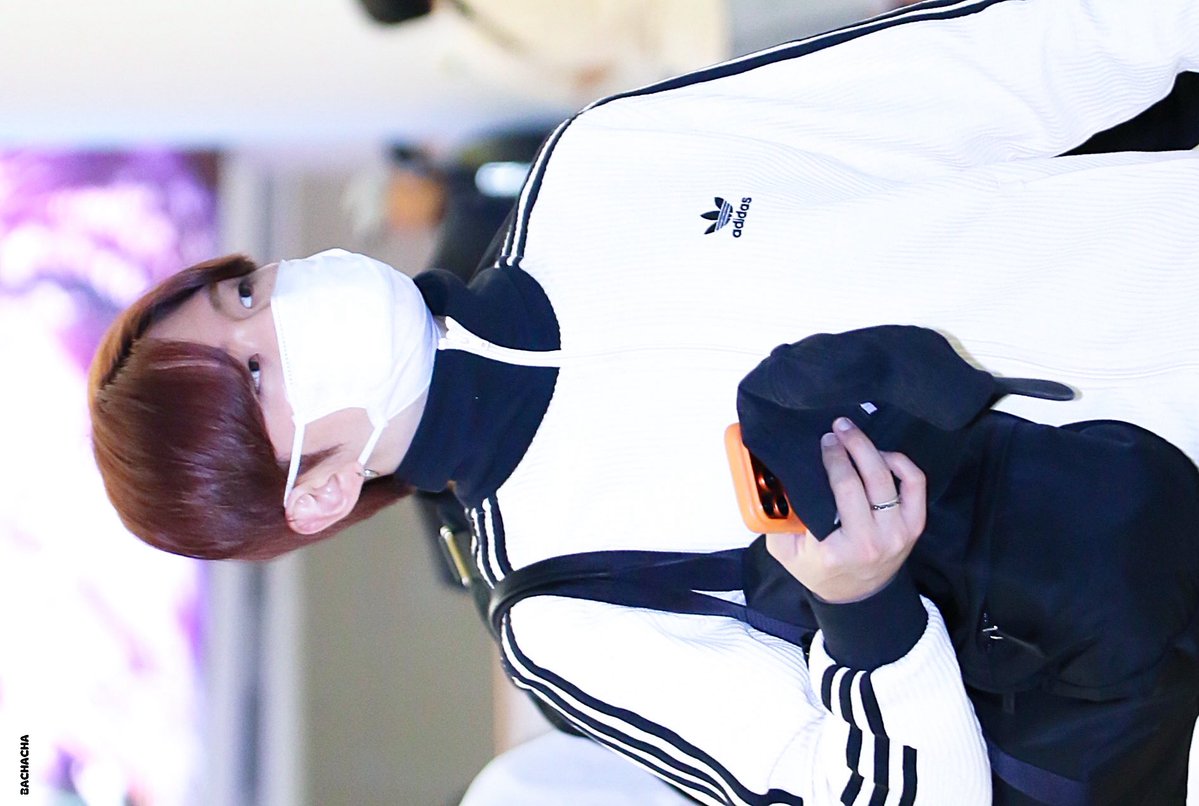 바차차 tweet media