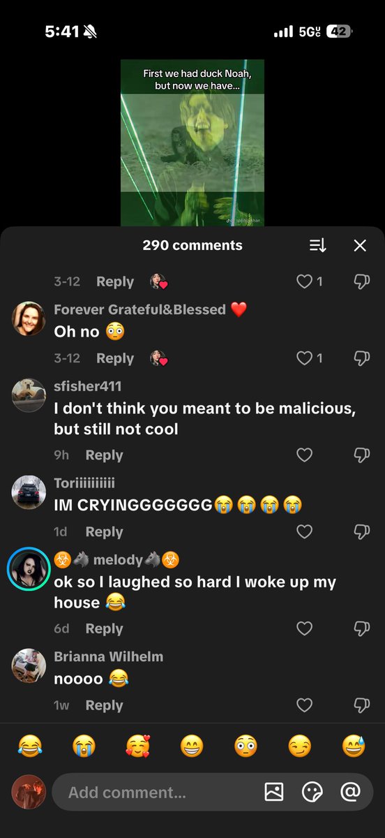 Ꙩ Dragonwings Ꙩ tweet media