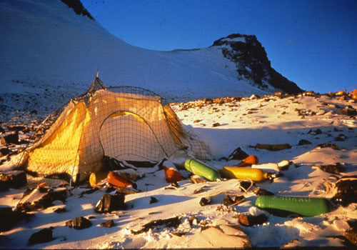 Jamie Wheal tweet media