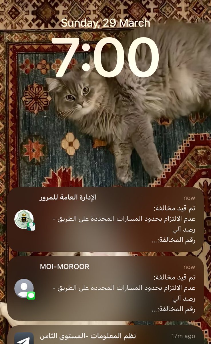 Ebtisam |👩🏻‍💻 tweet media