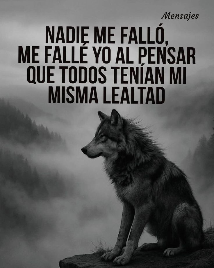 Letrasqueduelen tweet media