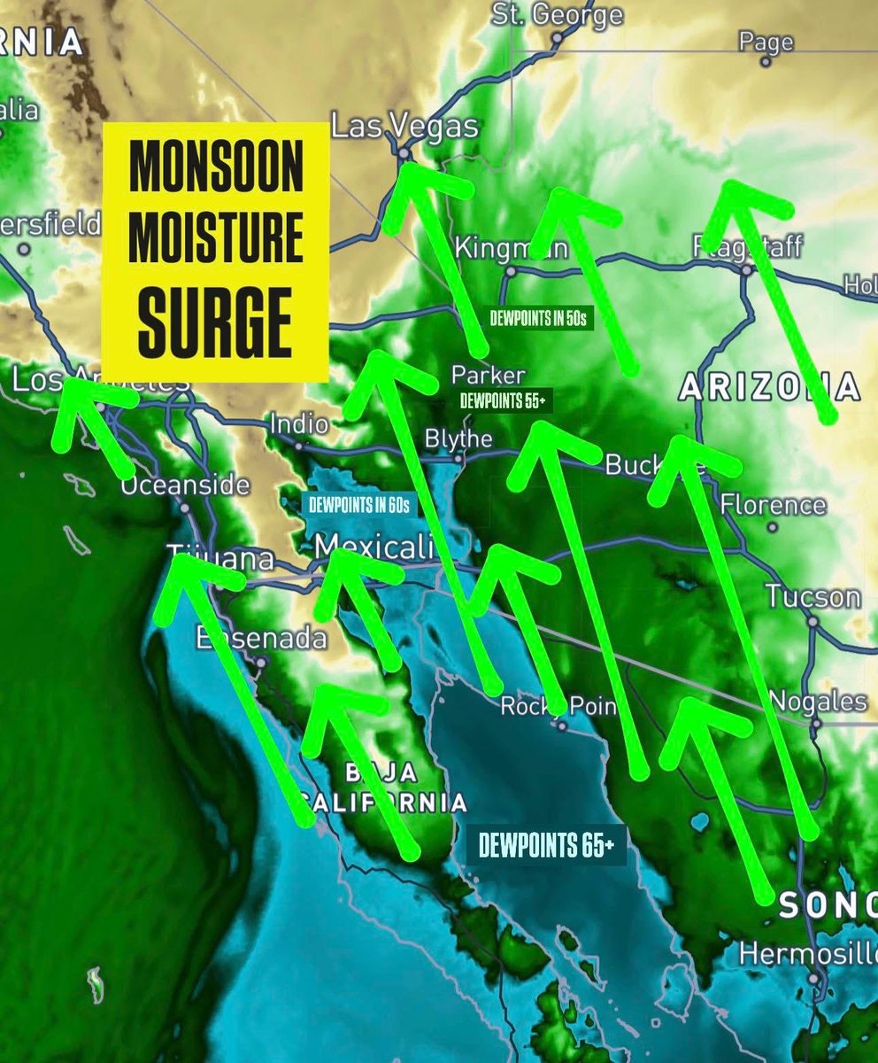 Positive4sure tweet media