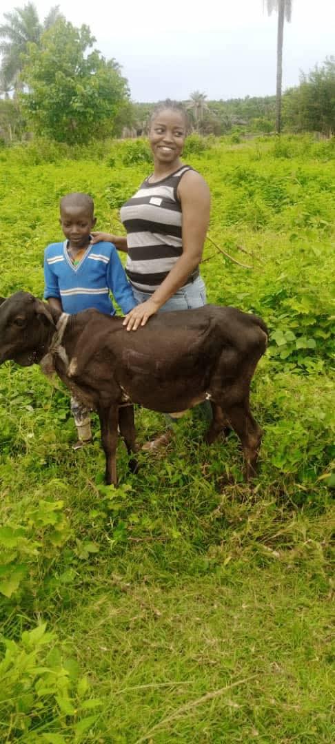 #ImranRoofing & Properties🏠 tweet media