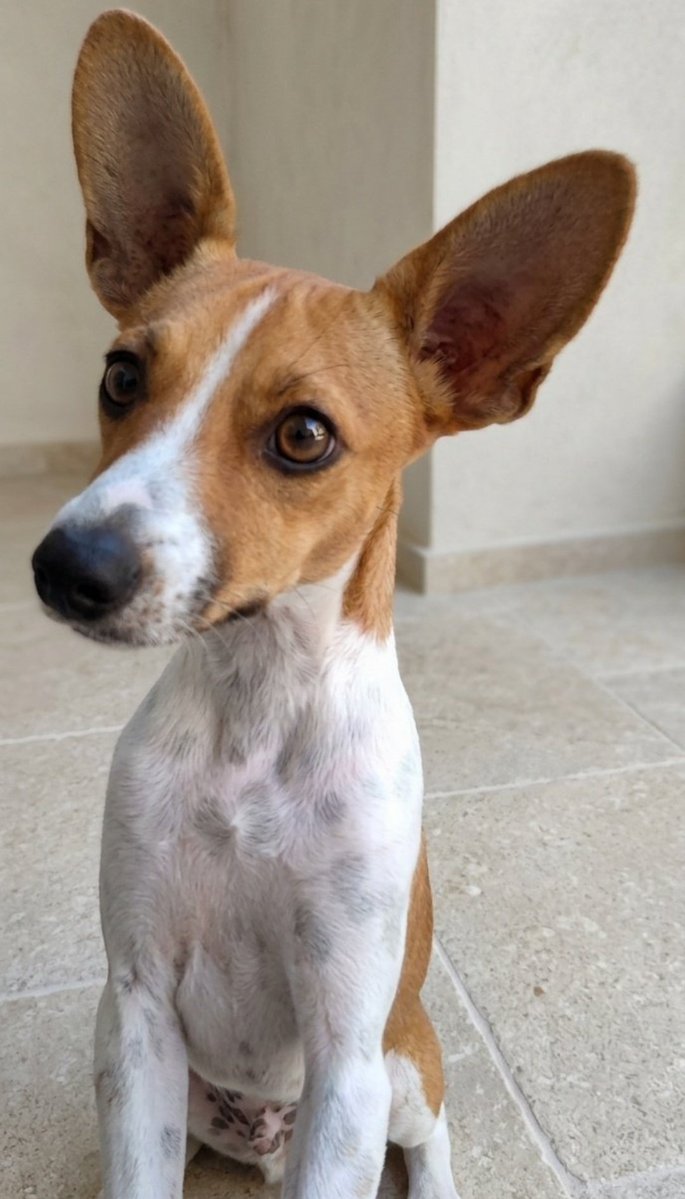 Ana R. Quista Ⓐ🏴 (XxHxX)🎈 tweet media