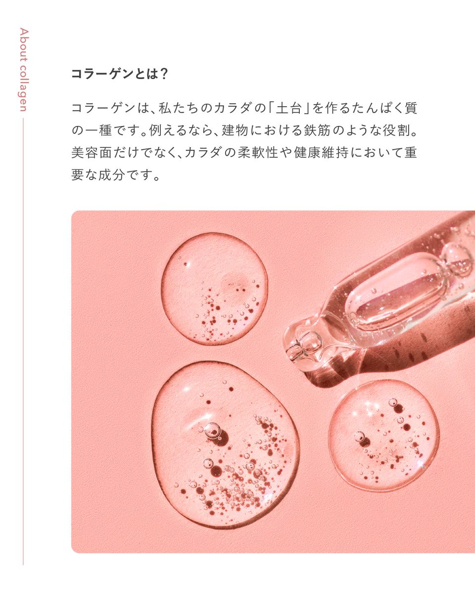 FUJIMI（フジミ）公式 tweet media