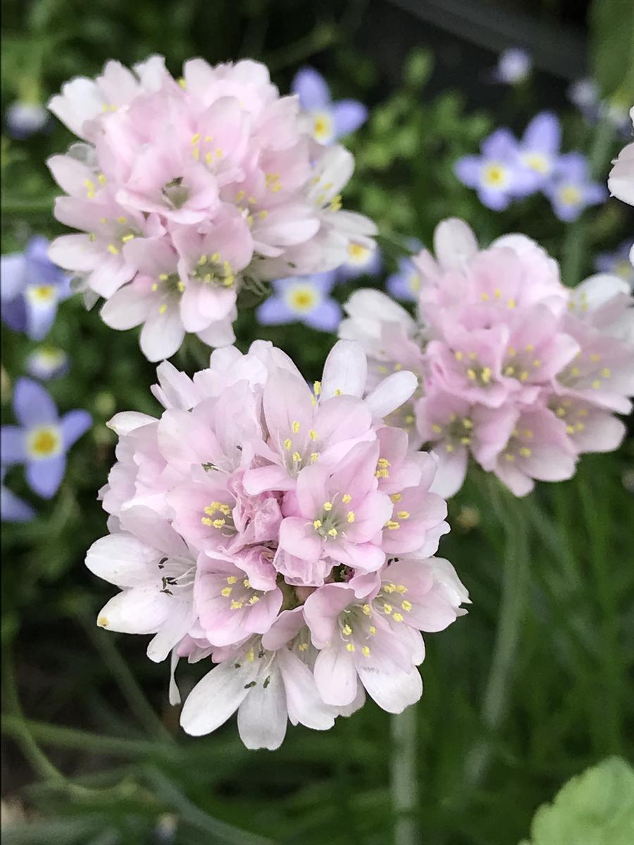 ヒロりん 🍀月·金+αにポストします🍀 tweet media