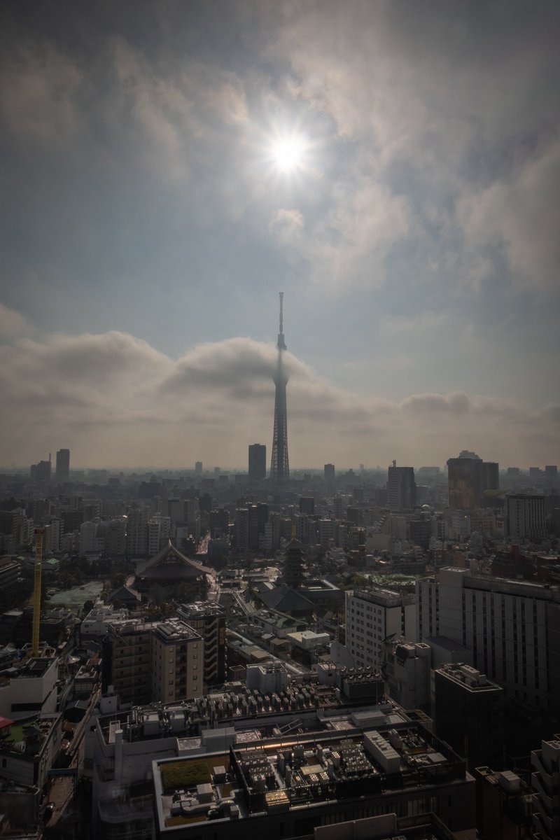 世布古(セプコ)| Photographer tweet media