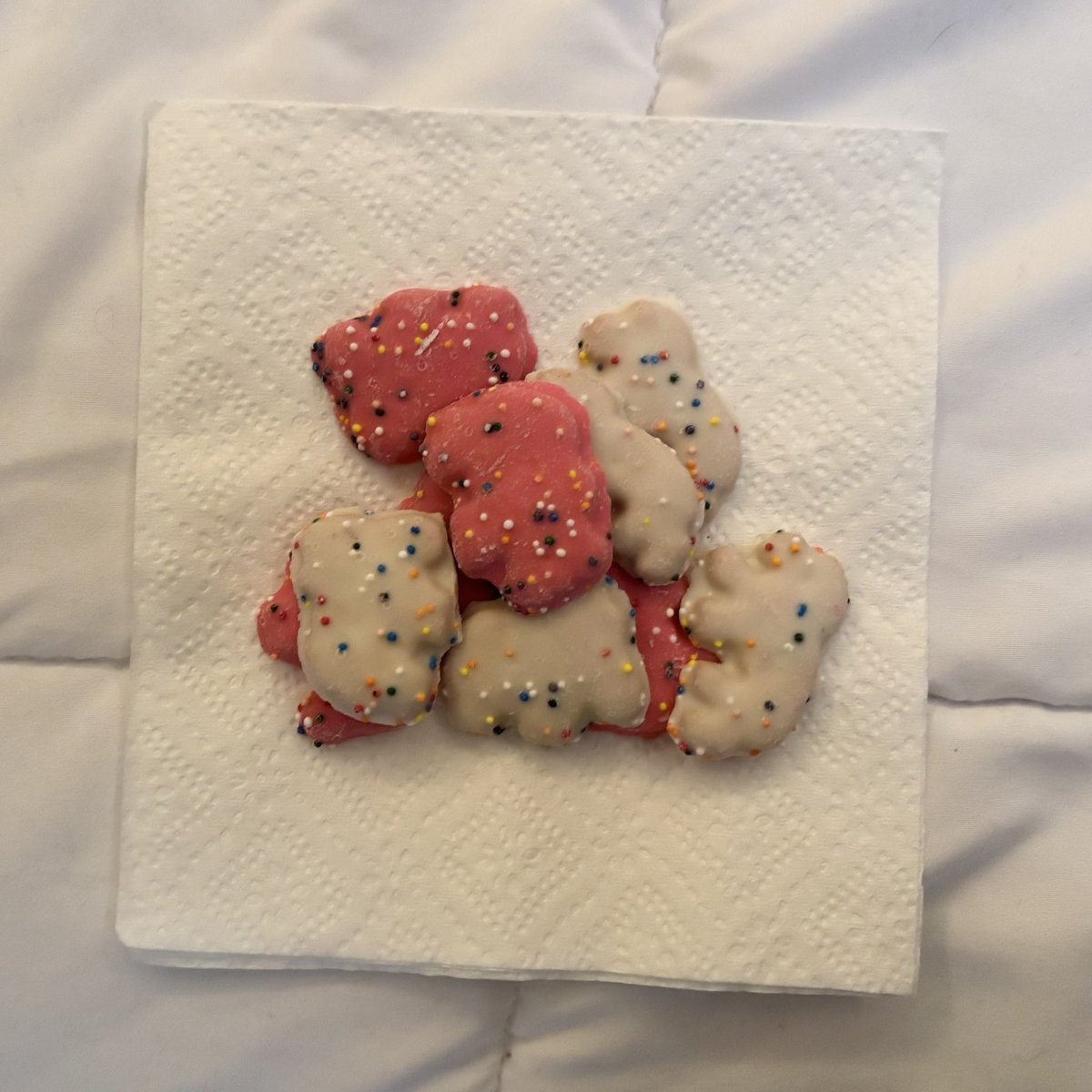 ʚ cupid ɞ en- is 7 ♡ tweet media