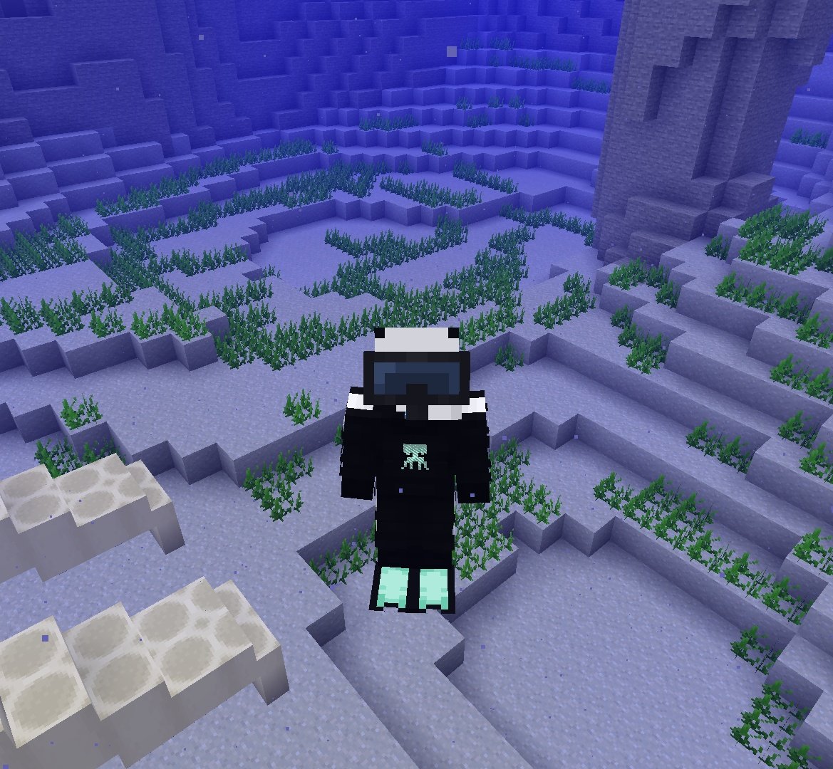 Maxi Aventuras 💙 tweet media