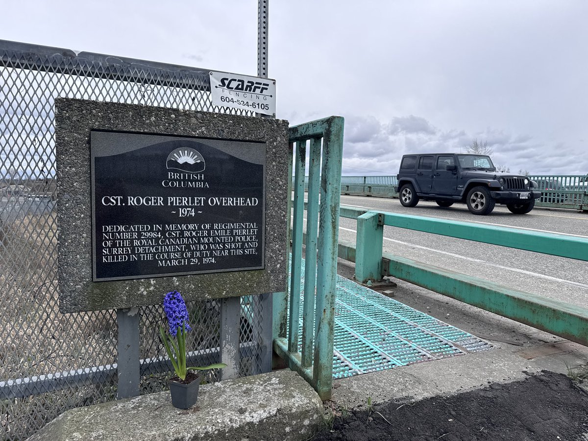 Tom Zillich tweet media