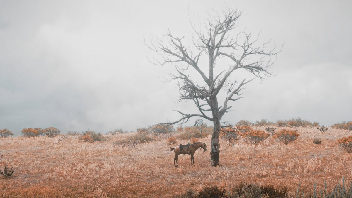 JB JawBreaker tweet media