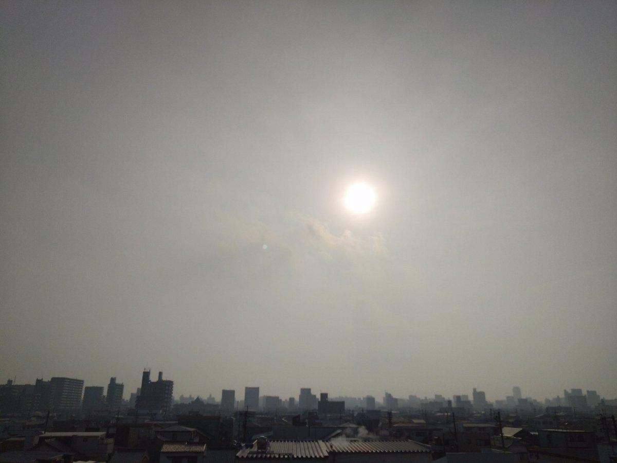 エロティックな7分間 tweet media