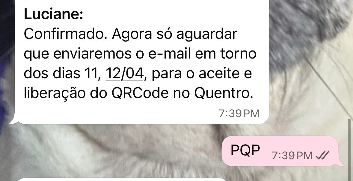 lia ⁷ ໒꒱ིྀ༝⁺ tweet media