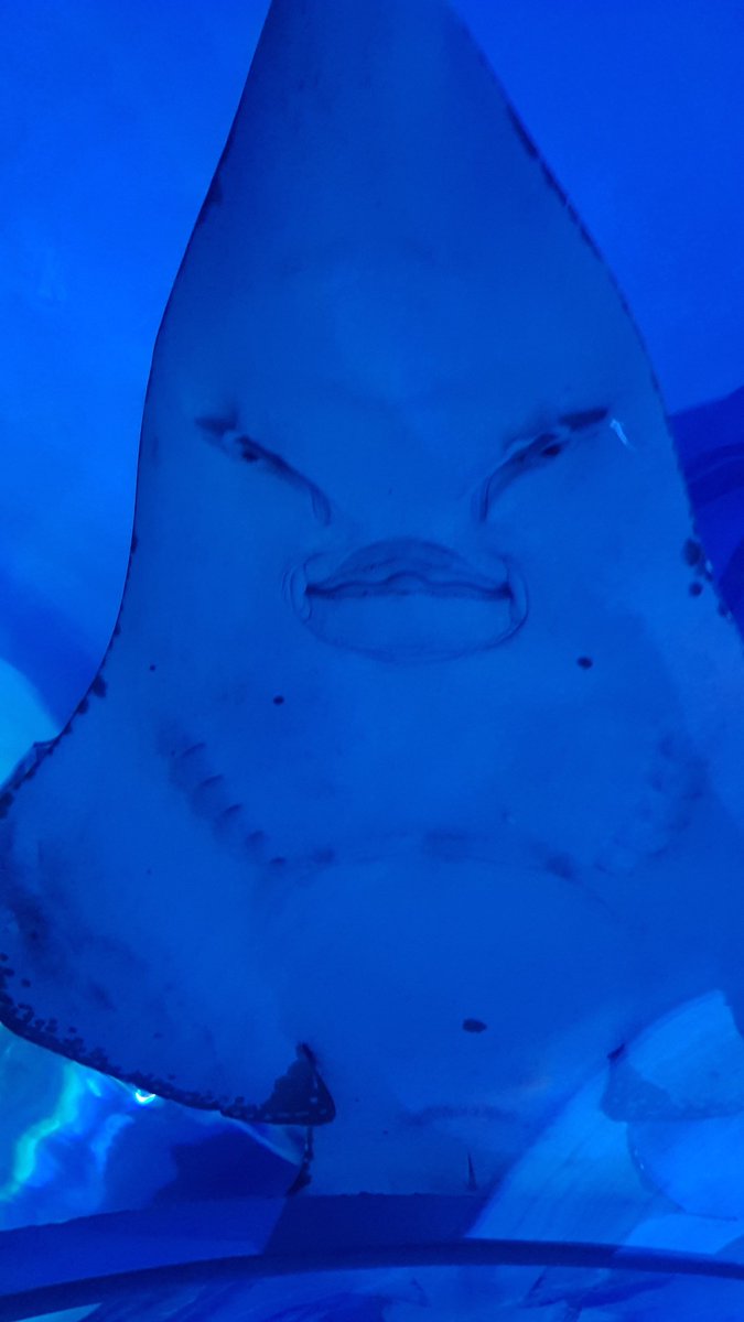 ᴘɢ⚘️ tweet media