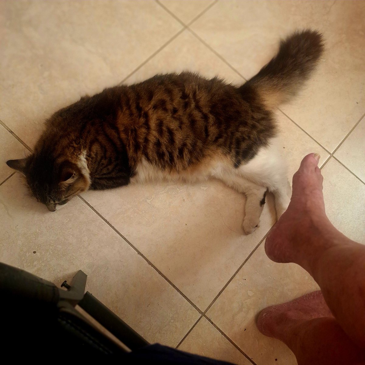 Ft. Lauderdale Food Not Bombs tweet media