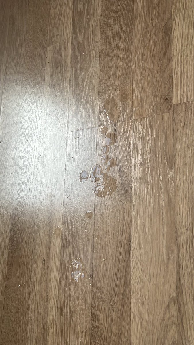 DomJTwink tweet media